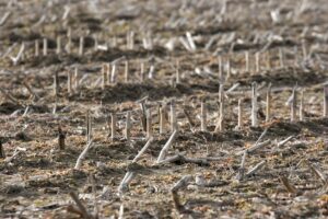 Sign This Open Letter to Legistators - Act on California Drought