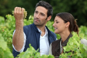 Hiring Family Members in Your Family Business