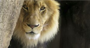 Financial Planning:  Protecting Your Assets and Securing Your Future